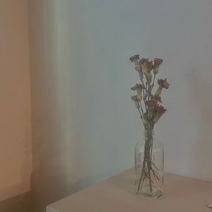 Meet your Posher, Scout